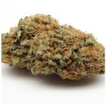 Шишки AK47  (Гидропоника, Бошка) VHQ в Донецке